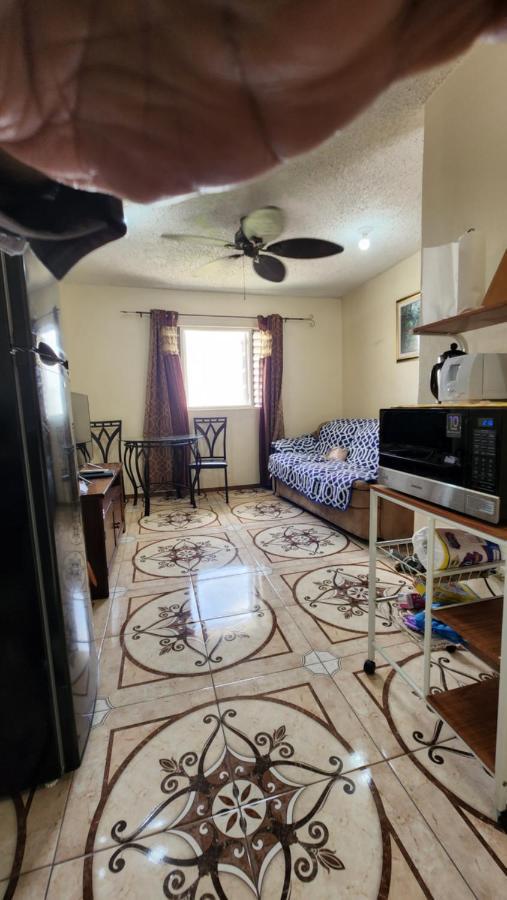 Oaklands Oasis Apartment Kingston Luaran gambar