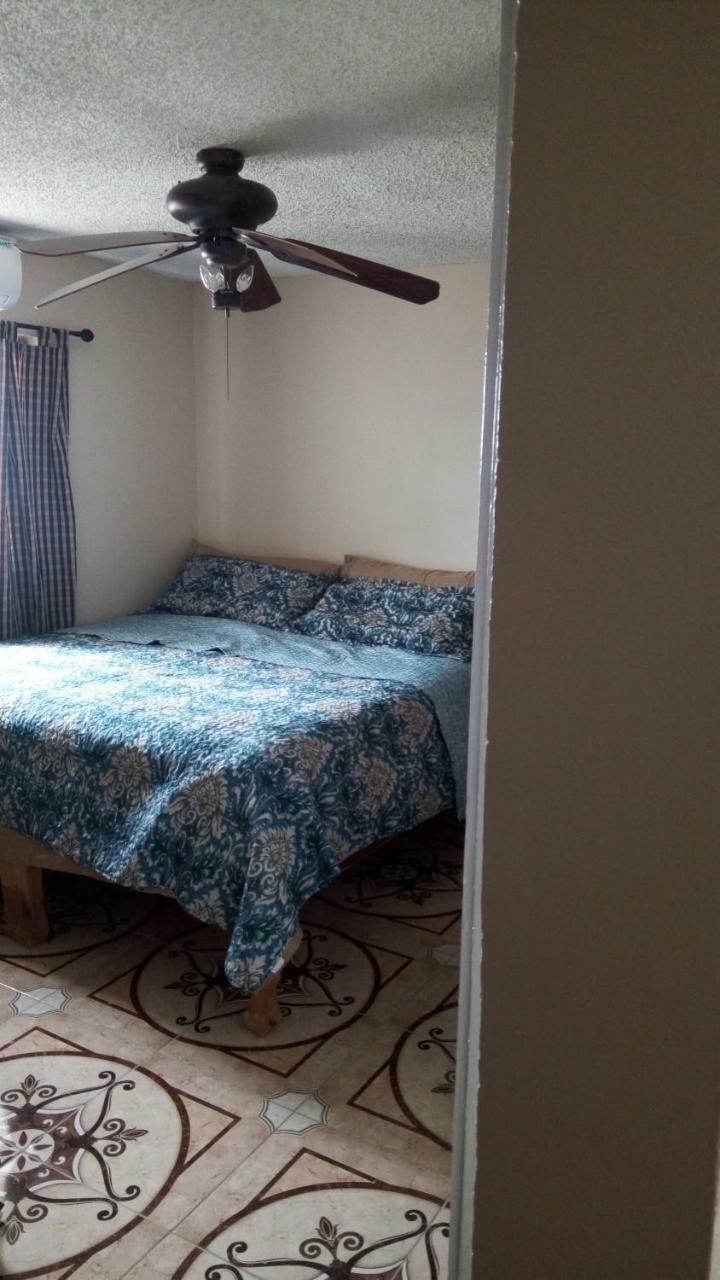 Oaklands Oasis Apartment Kingston Luaran gambar